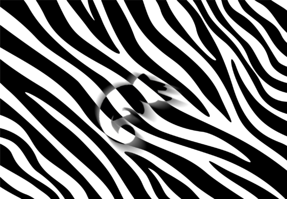 Security by Anonymity
